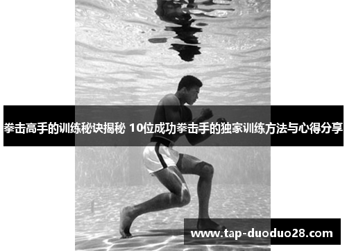 拳击高手的训练秘诀揭秘 10位成功拳击手的独家训练方法与心得分享