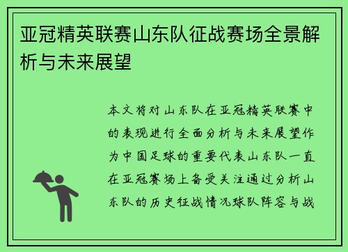 亚冠精英联赛山东队征战赛场全景解析与未来展望 亚冠精英联赛山东队征战赛场全景解析与未来展望